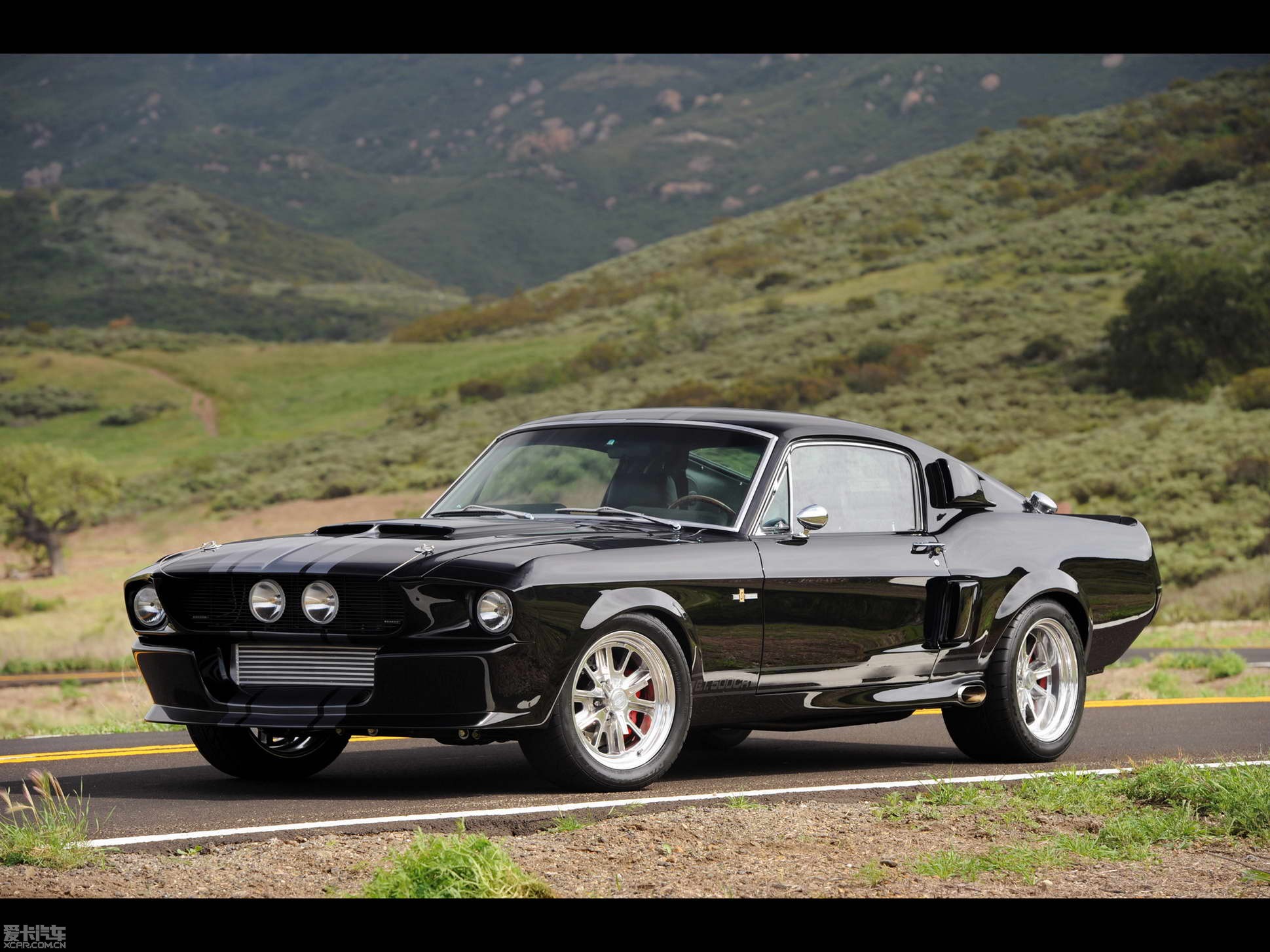 福特野馬shelby gt500