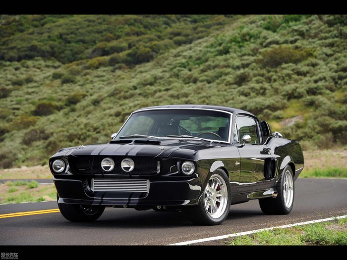 福特野马shelby gt500(25/35)