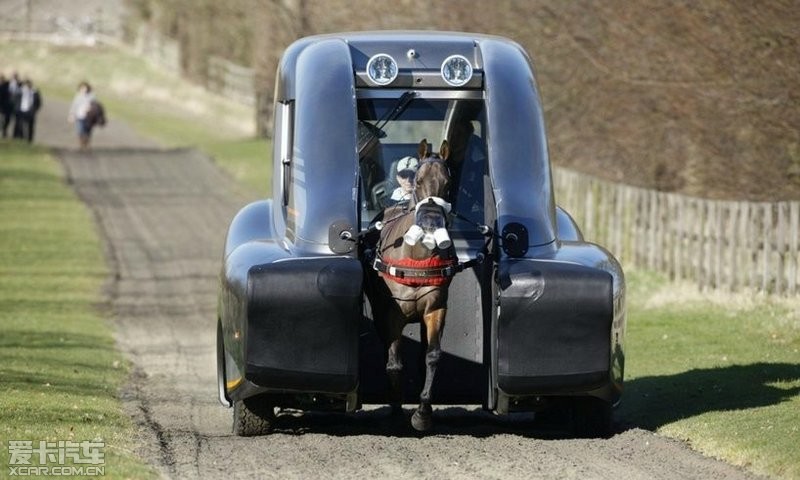 有趣的动物汽车1(7/15)