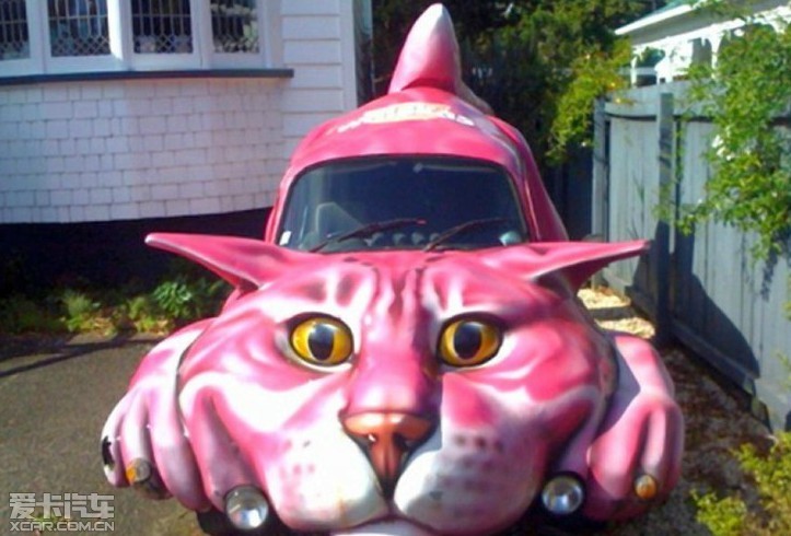 有趣的动物汽车1(6/15)