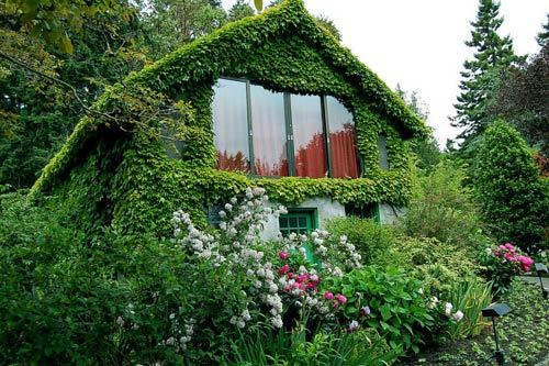 > 寄居在花的海洋