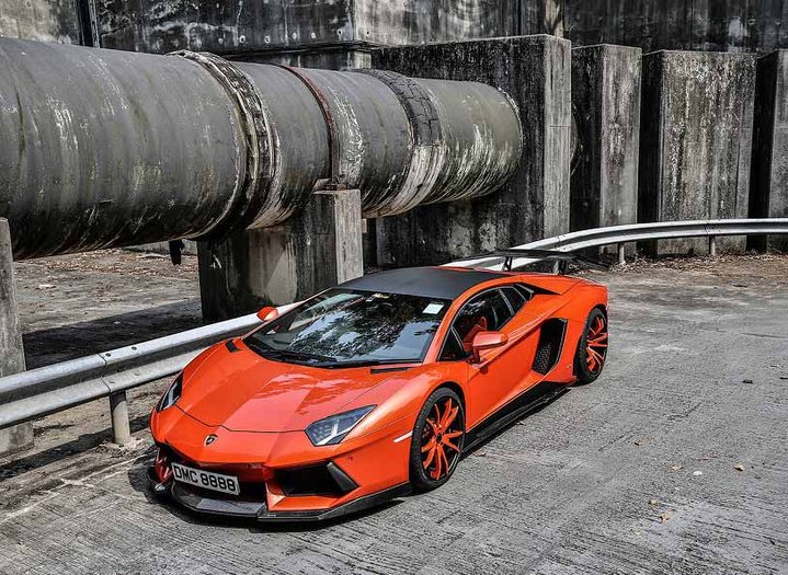 霸气彪悍的野牛(1/10)