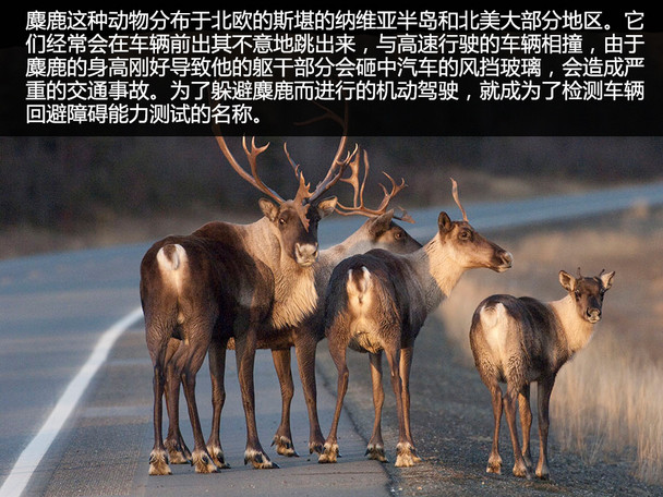 奥迪(进口)2014款奥迪R8