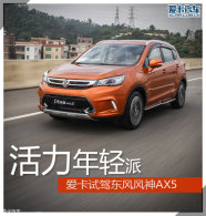 ����������  �����Լ�2016�������AX5