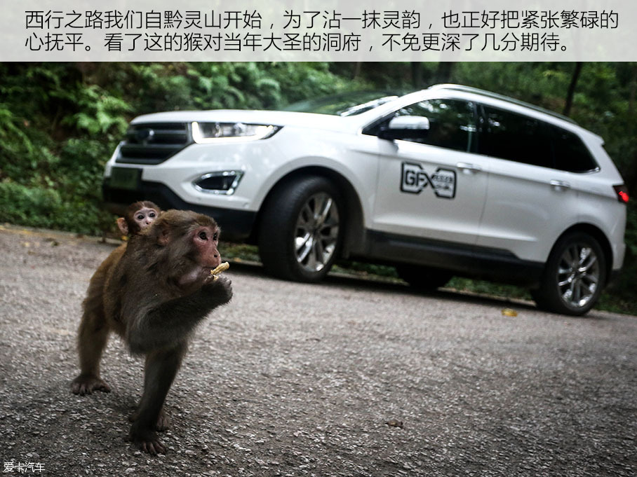 长安福特2016款锐界